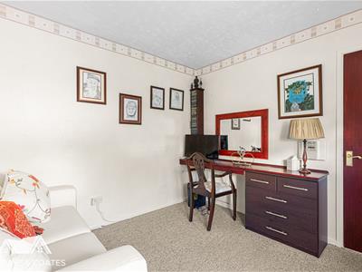 Picture 15